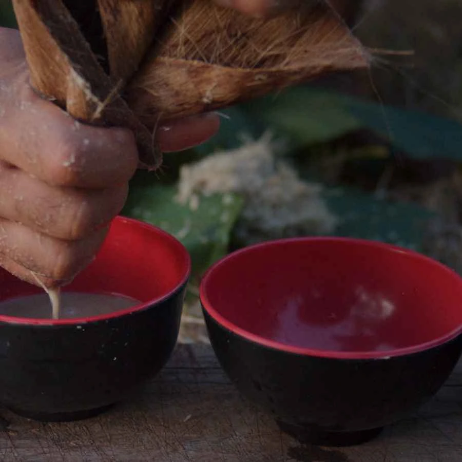 Kava, bevanda tipica delle Fiji